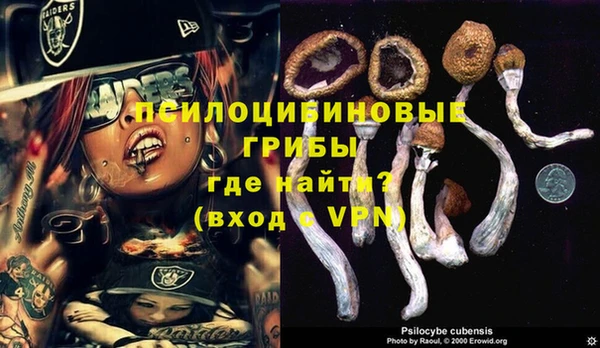 spice Михайловск