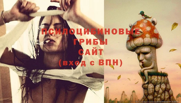 spice Михайловск