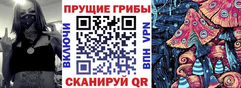 Купить  Николаевск  Галлюциногенные грибы MAGIC MUSHROOMS 