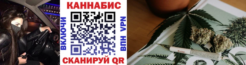Купить где  Николаевск  Каннабис ГИДРОПОН 